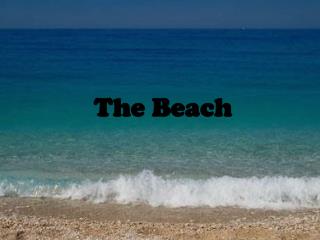 The Beach
