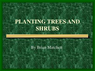 PLANTING TREES AND SHRUBS