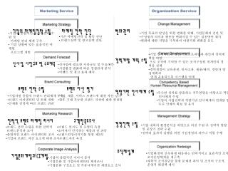 기업의 종합적인 마케팅전략 수립 및 마케팅 관리 체계 구축 기업 상황에 맞는 효율적인 마케팅 프로그램 개발