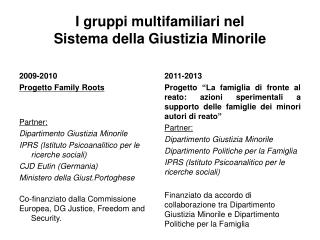 I gruppi multifamiliari nel Sistema della Giustizia Minorile