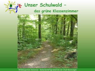 Unser Schulwald –		 das grüne Klassenzimmer