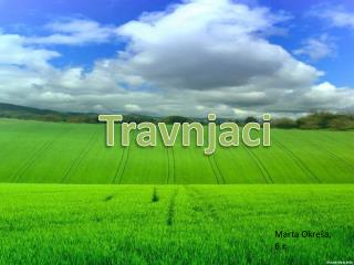 Travnjaci