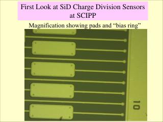 Magnification showing pads and “bias ring”