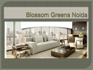 Blossom Greens Noida