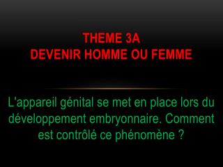 THEME 3A DEVENIR HOMME OU FEMME