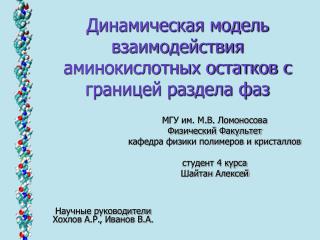 Динамическая модель взаимодействия аминокислотных остатков с границей раздела фаз