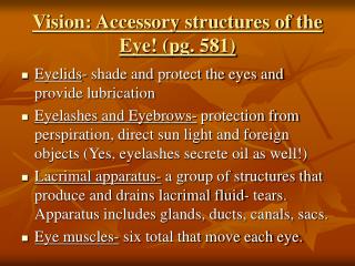 Vision: Accessory structures of the Eye! (pg. 581)