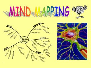 MIND MAPPING