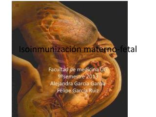 Isoinmunización materno-fetal