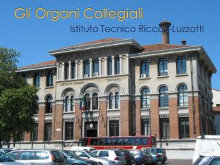 Gli Organi Collegiali