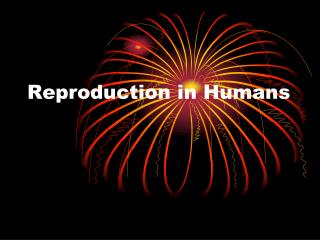 Reproduction in Humans