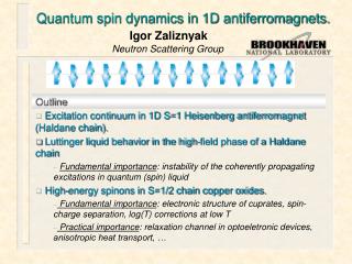 Quantum spin dynamics in 1D antiferromagnets.