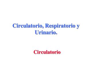 Circulatorio, Respiratorio y Urinario.