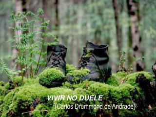 VIVIR NO DUELE (Carlos Drummond de Andrade)