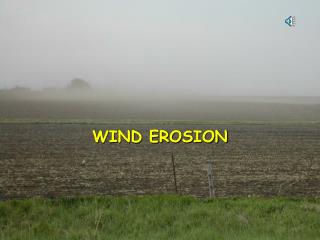 WIND EROSION