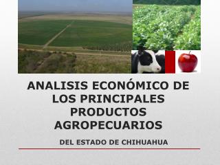ANALISIS ECONÓMICO DE LOS PRINCIPALES PRODUCTOS AGROPECUARIOS