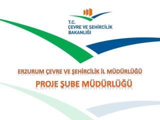 Proje Şube Müdürlüğü