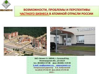 ВОЗМОЖНОСТИ, ПРОБЛЕМЫ И ПЕРСПЕКТИВЫ ЧАСТНОГО БИЗНЕСА В АТОМНОЙ ОТРАСЛИ РОССИИ 