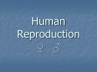 Human Reproduction