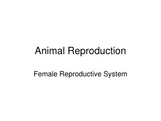 Animal Reproduction