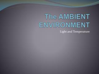 The AMBIENT ENVIRONMENT