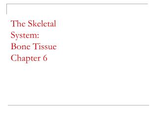 The Skeletal System: Bone Tissue Chapter 6