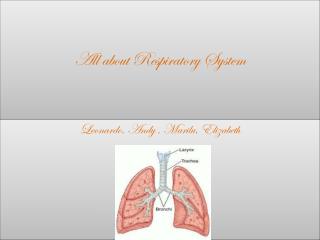 All about Respiratory System