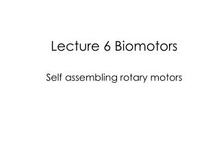 Lecture 6 Biomotors