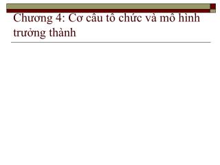 Chương 4: Cơ cấu tổ chức và mô hình trưởng thành