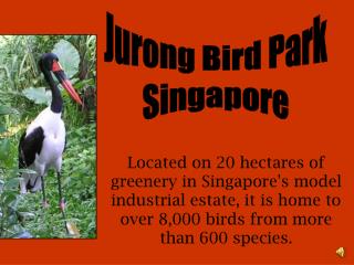 Jurong Bird Park Singapore