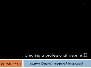 Creating a professional website II