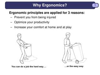 Why Ergonomics?