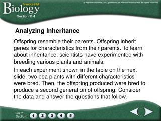 Analyzing Inheritance