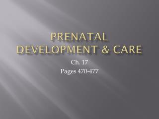 Prenatal Development &amp; Care