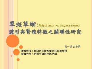 翠斑草蜥 體型與繁殖特徵之關聯性研究