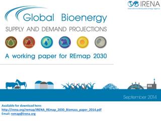 Available for download here: irena/remap/IRENA_REmap_2030_Biomass_paper_2014.pdf
