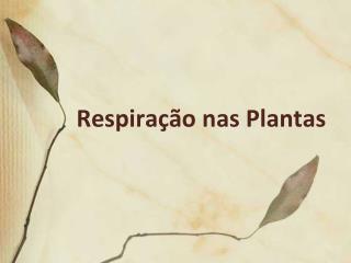 Respiração nas Plantas