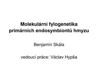 Molekulární fylogenetika primárních endosymbiontů hmyzu