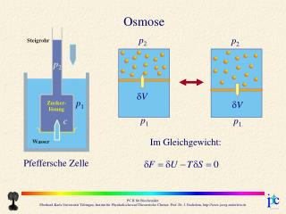 Osmose