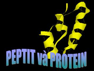 PEPTIT và PROTEIN