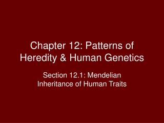 Chapter 12: Patterns of Heredity &amp; Human Genetics