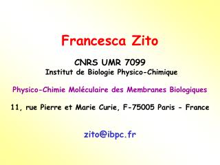 Francesca Zito CNRS UMR 7099 Institut de Biologie Physico-Chimique