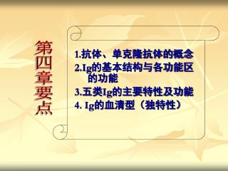 1. 抗体、单克隆抗体的概念 2.Ig 的基本结构与各功能区的功能 3. 五类 Ig 的主要特性及功能 4. Ig 的血清型（独特性）