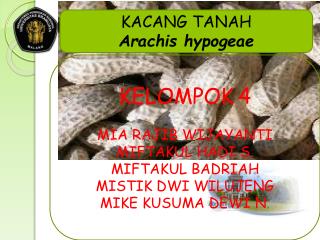 KACANG TANAH Arachis hypogeae