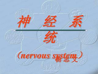 神 经 系 统 （ nervous system ）