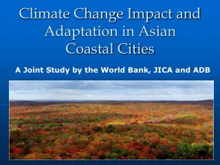 Climate Change Impact and Adaptation in Asian Coastal Cities