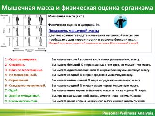 Мышечная масса и физическая оценка организма