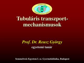 Tubuláris transzport- mechanismusok
