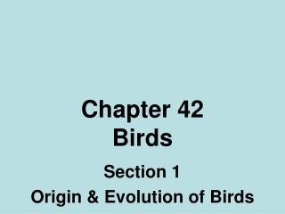 Chapter 42 Birds