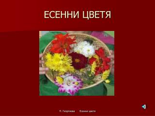 ЕСЕННИ ЦВЕТЯ